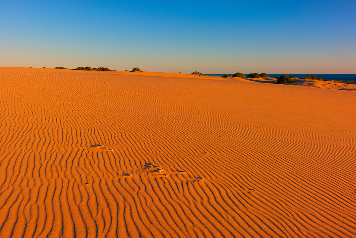 buy-the-latest-myall-lakes-dunes-online-sale_0.jpg