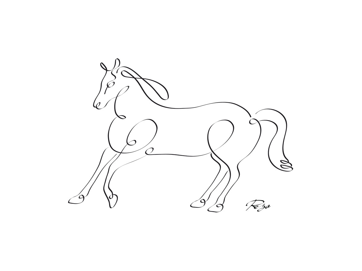the-online-shop-for-horse-fashion_0.jpg