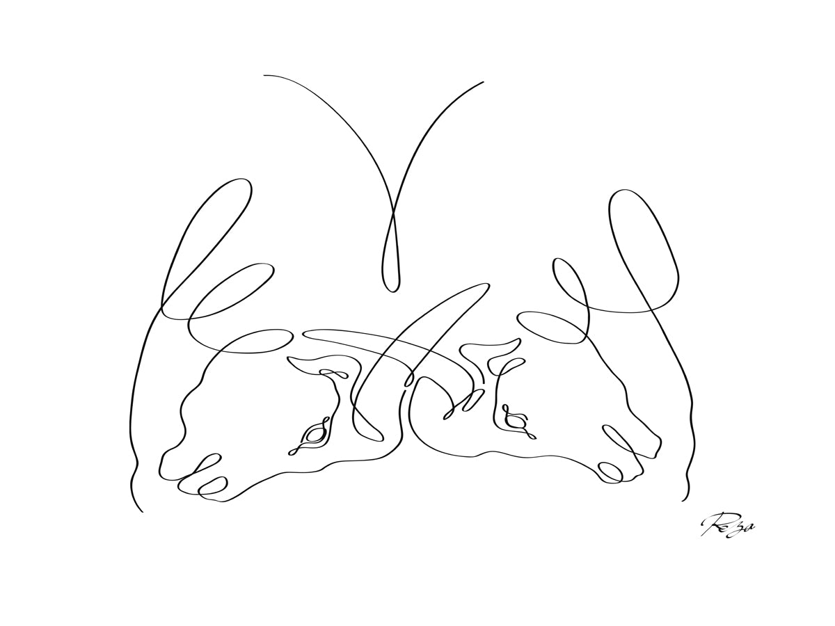 we-have-authentic-bull-online-hot-sale_0.jpg