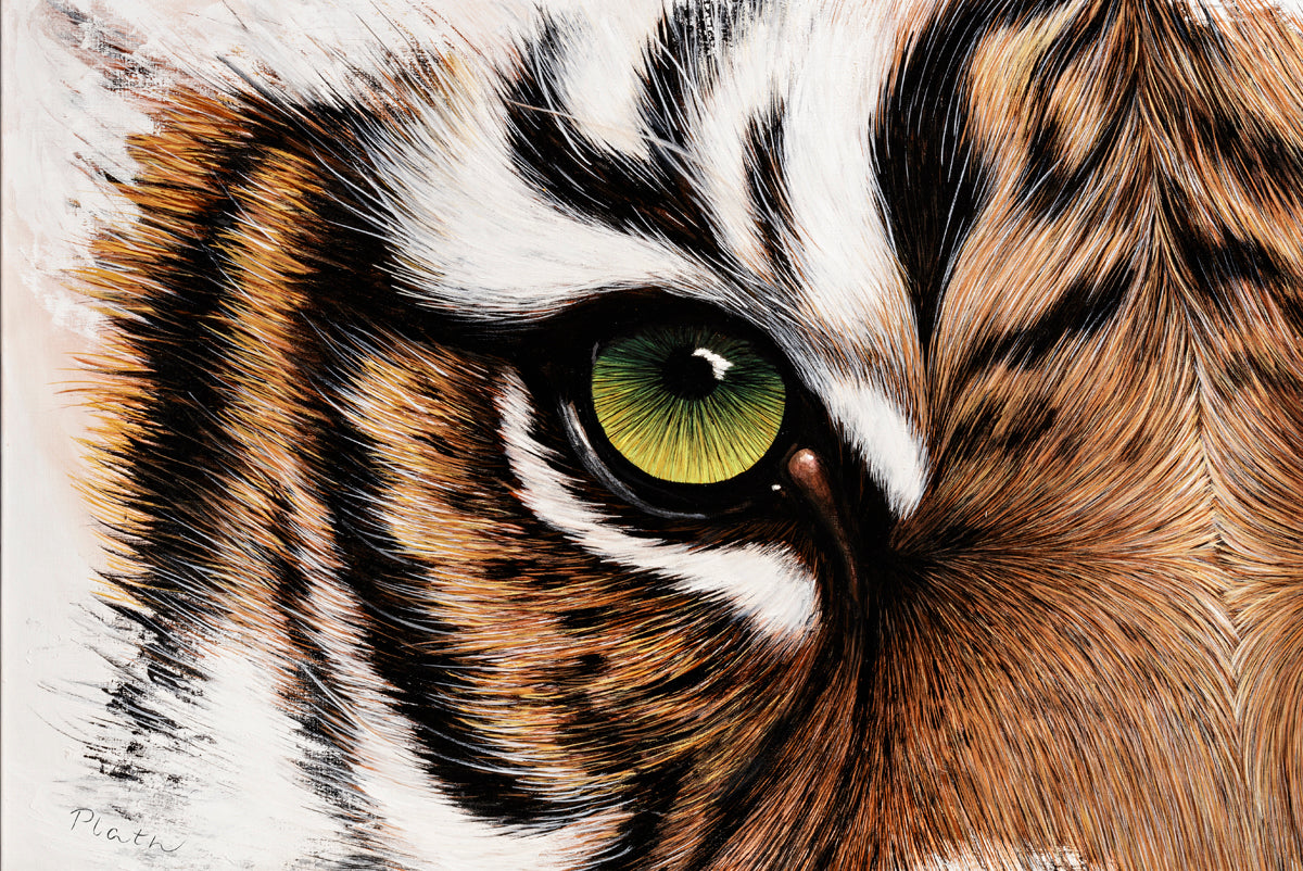 the-one-place-to-buy-tiger-augenblick-online-hot-sale_0.jpg