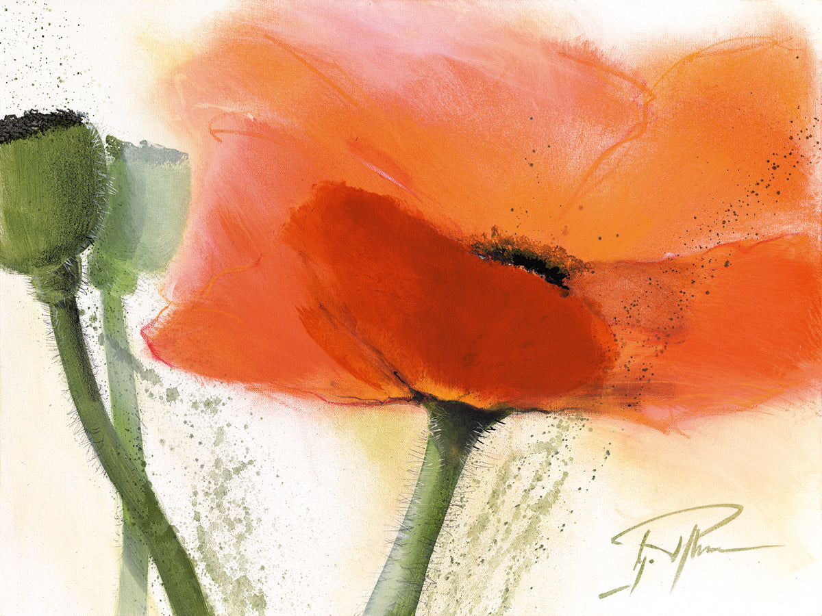 shop-for-the-latest-faszination-mohn-iii-online-hot-sale_0.jpg
