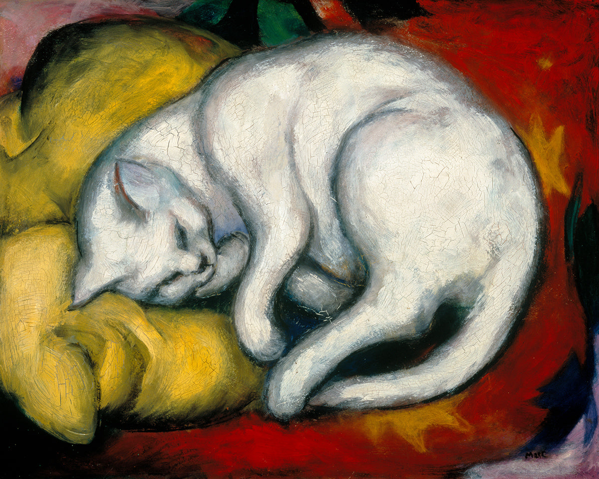 the-one-place-to-buy-die-weise-katze-sale_0.jpg