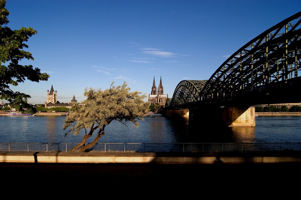 your-online-store-for-officially-licensed-skyline-koln-online_0.jpg