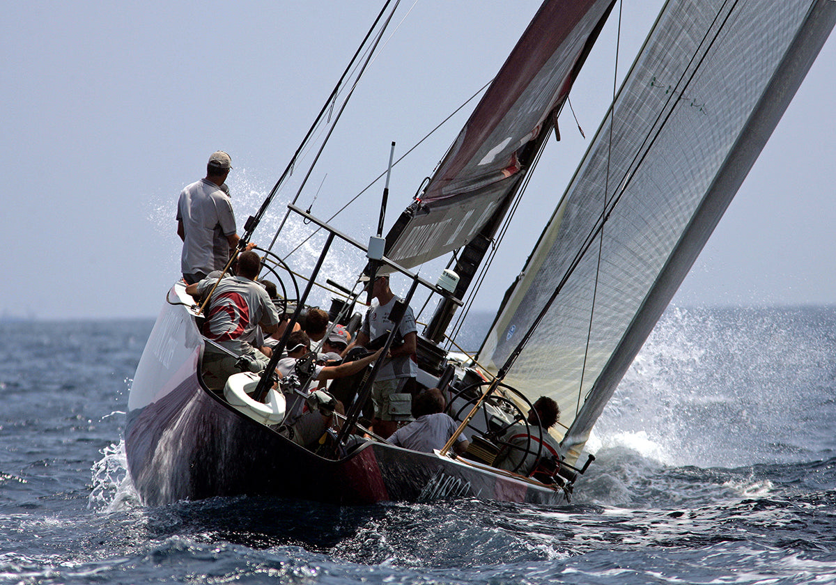the-newest-page-on-the-internet-to-buy-alinghi-11-on-sale_0.jpg