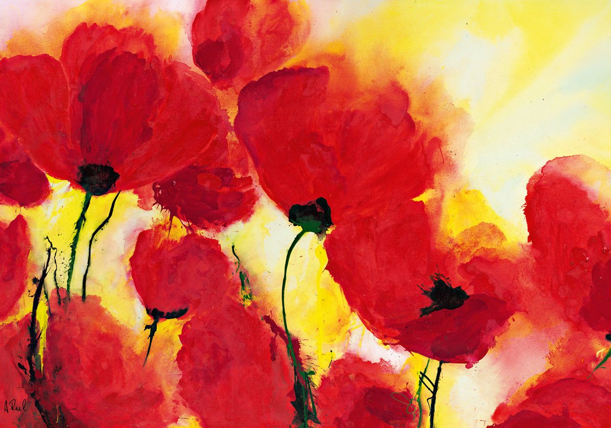 where-can-i-buy-roter-mohn-toskana-online-now_0.jpg