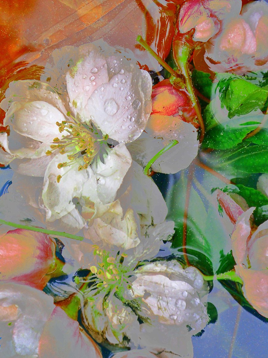 a-place-for-all-your-needs-to-shop-blumenliebe-fashion_0.jpg