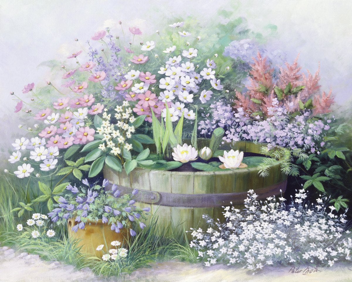 get-your-favorite-waterlilies-sale_0.jpg