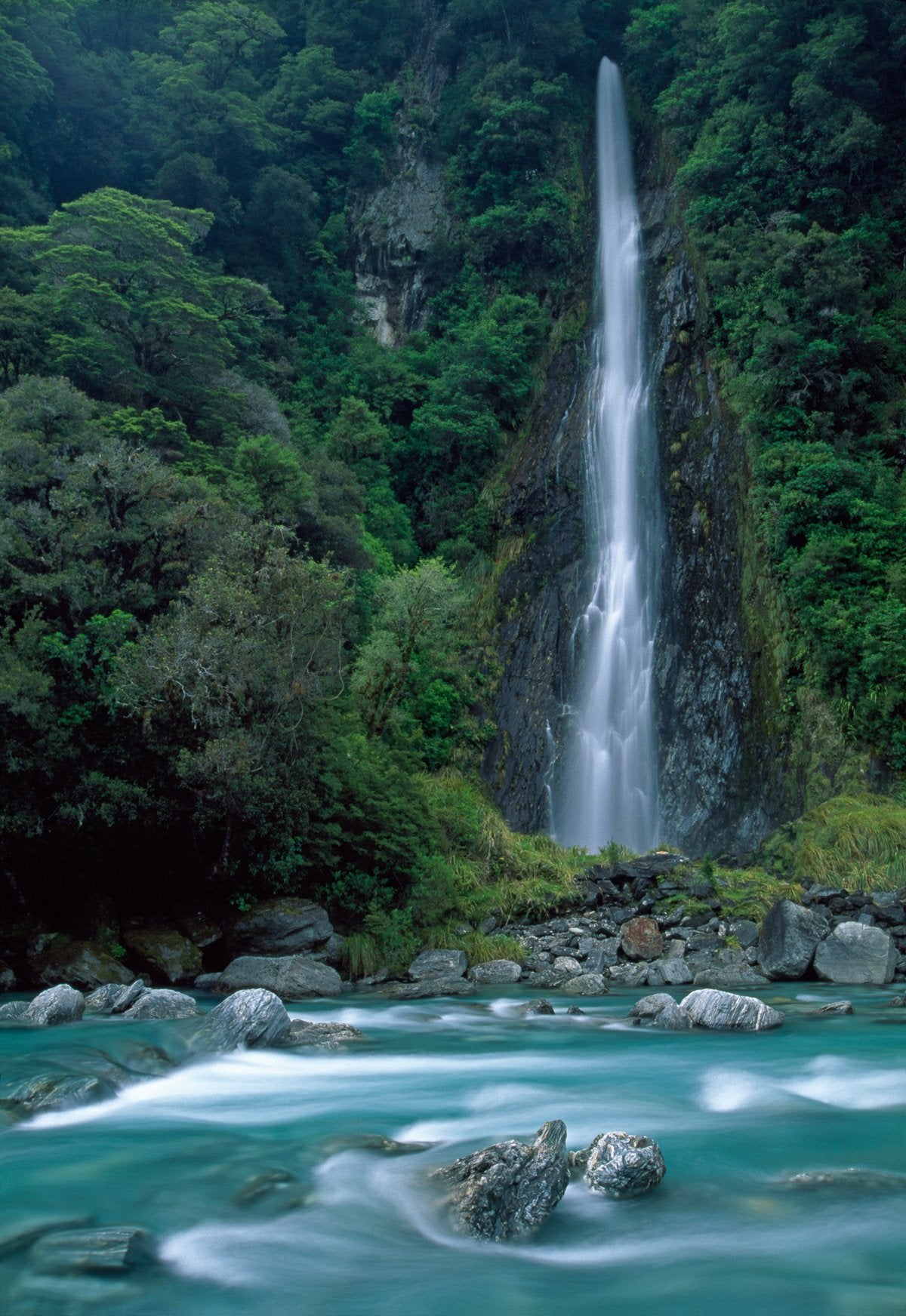 get-your-official-thunder-creek-falls-on-sale_0.jpg