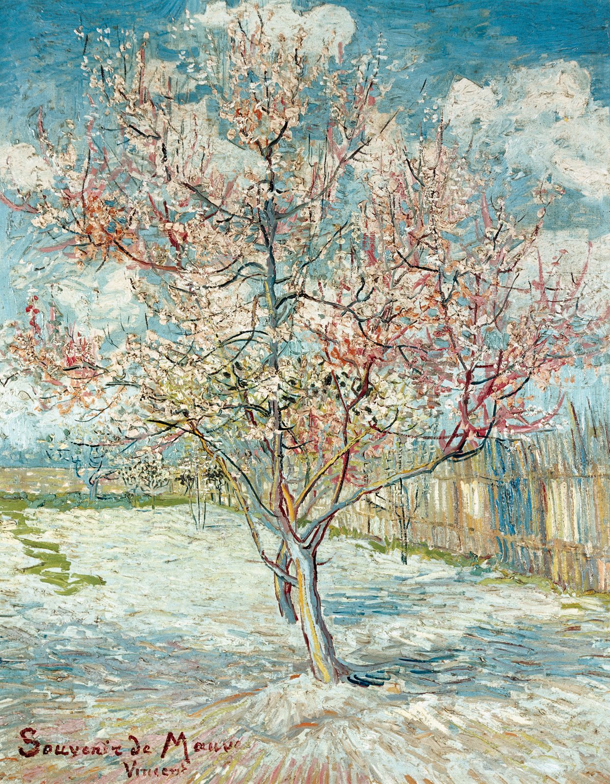get-the-official-bluhende-pfirsichbaume-online-now_0.jpg