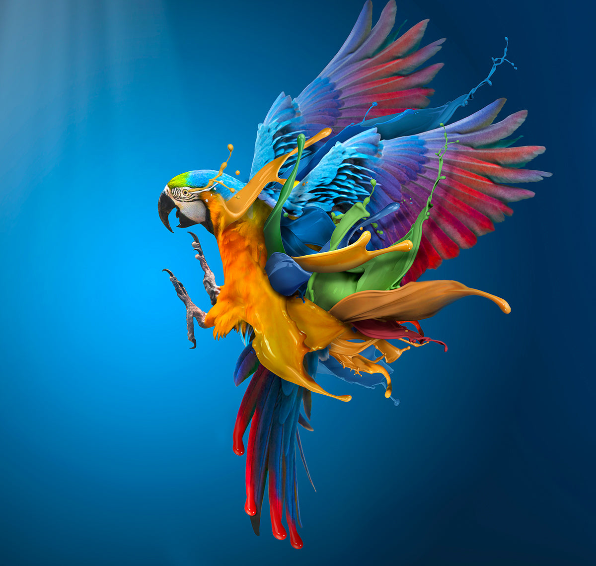 buy-the-worlds-best-flying-colours-fashion_0.jpg