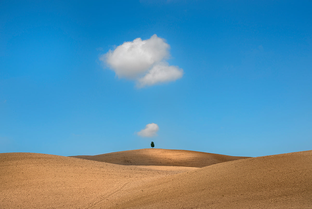 its-not-easy-being-a-fan-to-buy-tuscany-sale_0.jpg