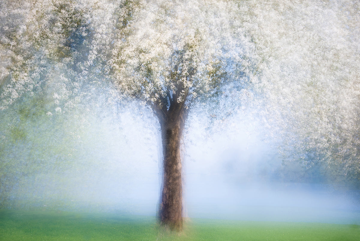 we-offer-the-best-prices-on-the-best-of-dreamy-spring-on-sale_0.jpg