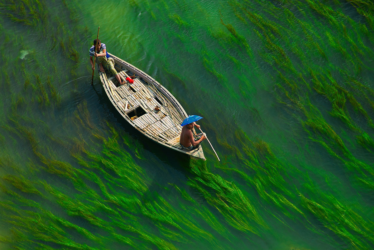we-believe-in-helping-you-find-the-perfect-green-river-sale_0.jpg