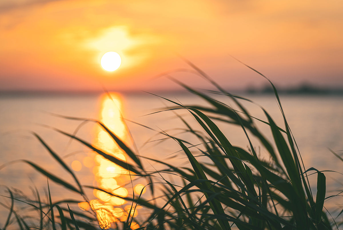 find-your-dream-steinhuder-meer-im-sonnenuntergang-online-now_0.jpg