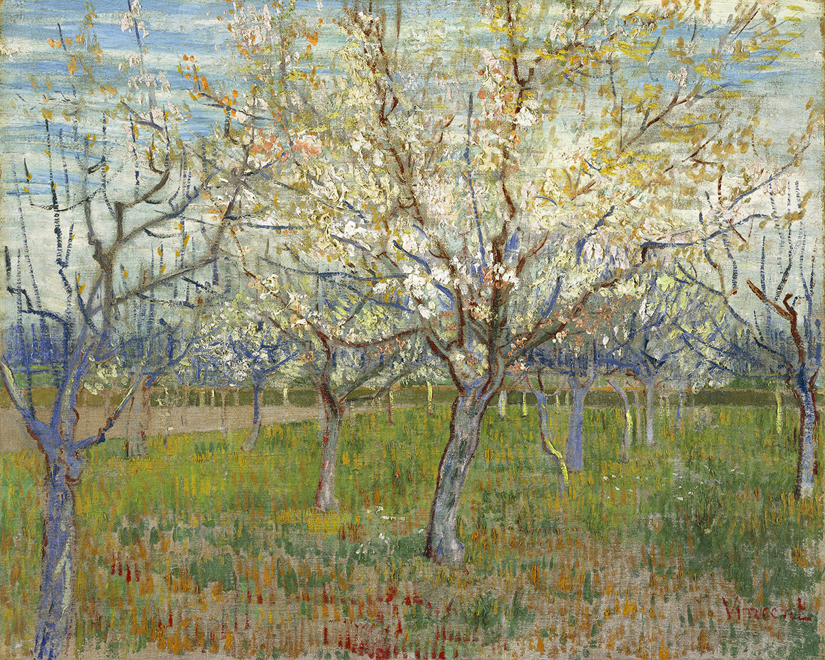 get-your-teams-official-rosa-obstgarten-on-sale_0.jpg
