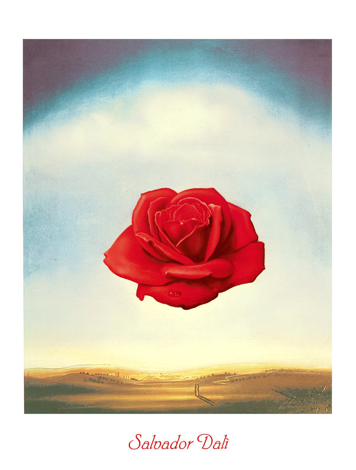 here-at-buy-rose-meditative-online-sale_0.jpg