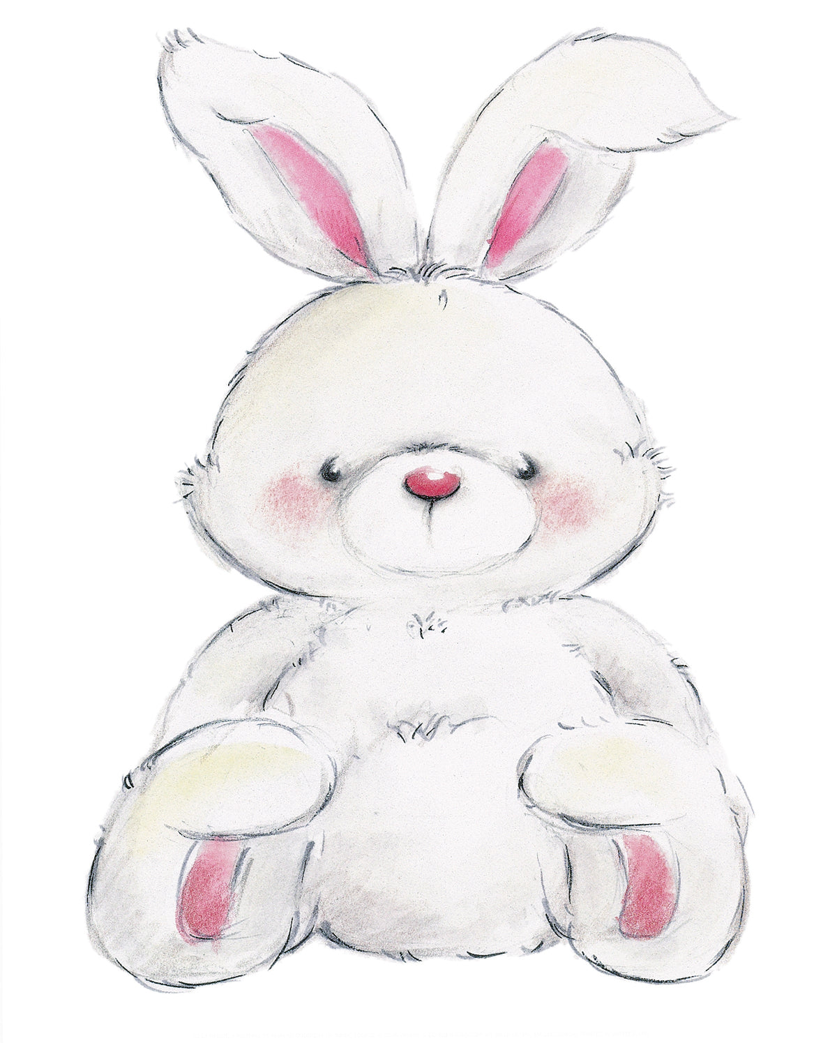 shop-professional-and-licensed-rabbit-on-sale_0.jpg