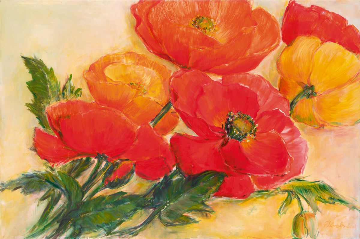 we-offer-a-huge-selection-of-cheap-splendid-poppies-online-now_0.jpg