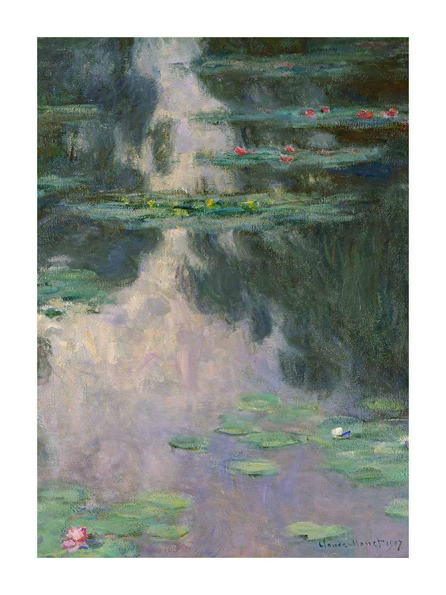the-authentic-online-store-of-water-lilies-online-now_0.jpg