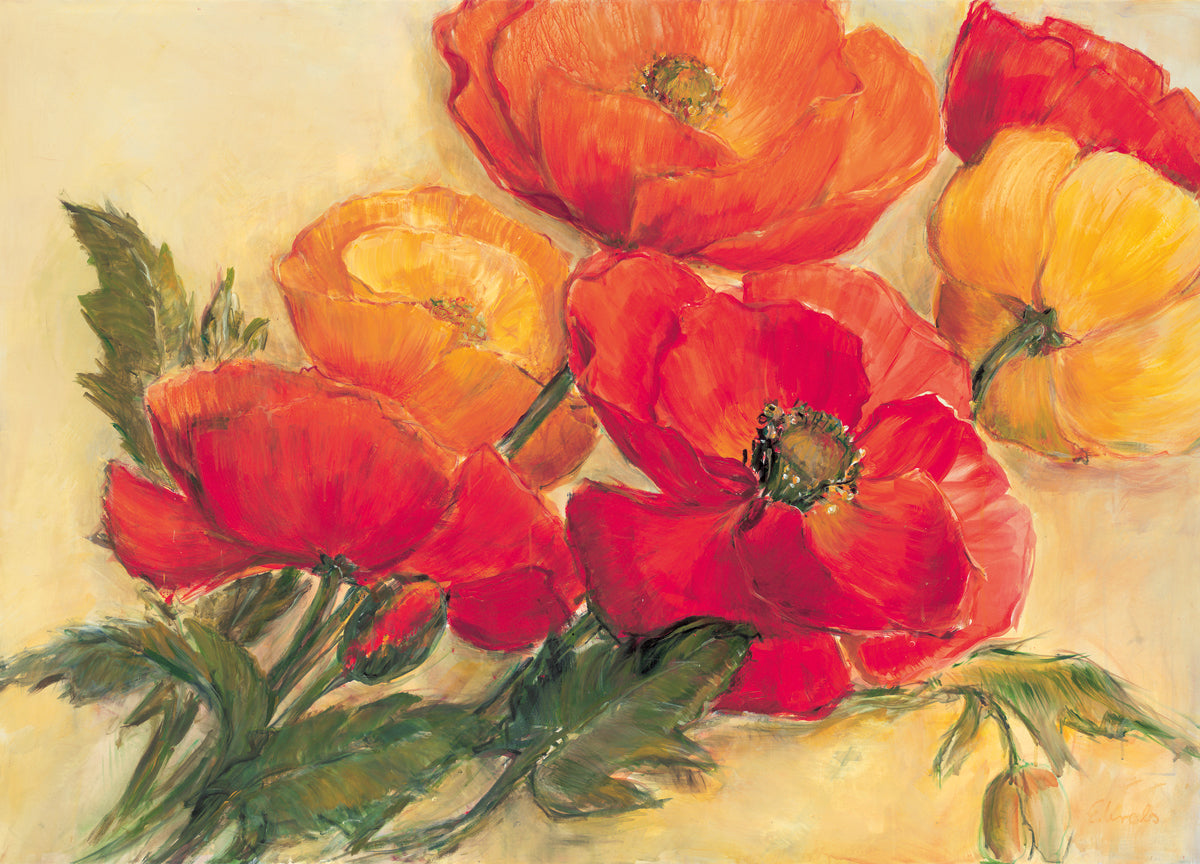 purchase-splendid-poppies-fashion_0.jpg