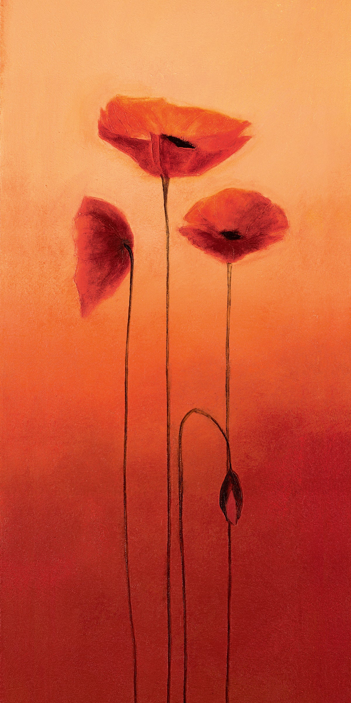 the-largest-online-retailer-of-poppy-elegance-iii-sale_0.jpg