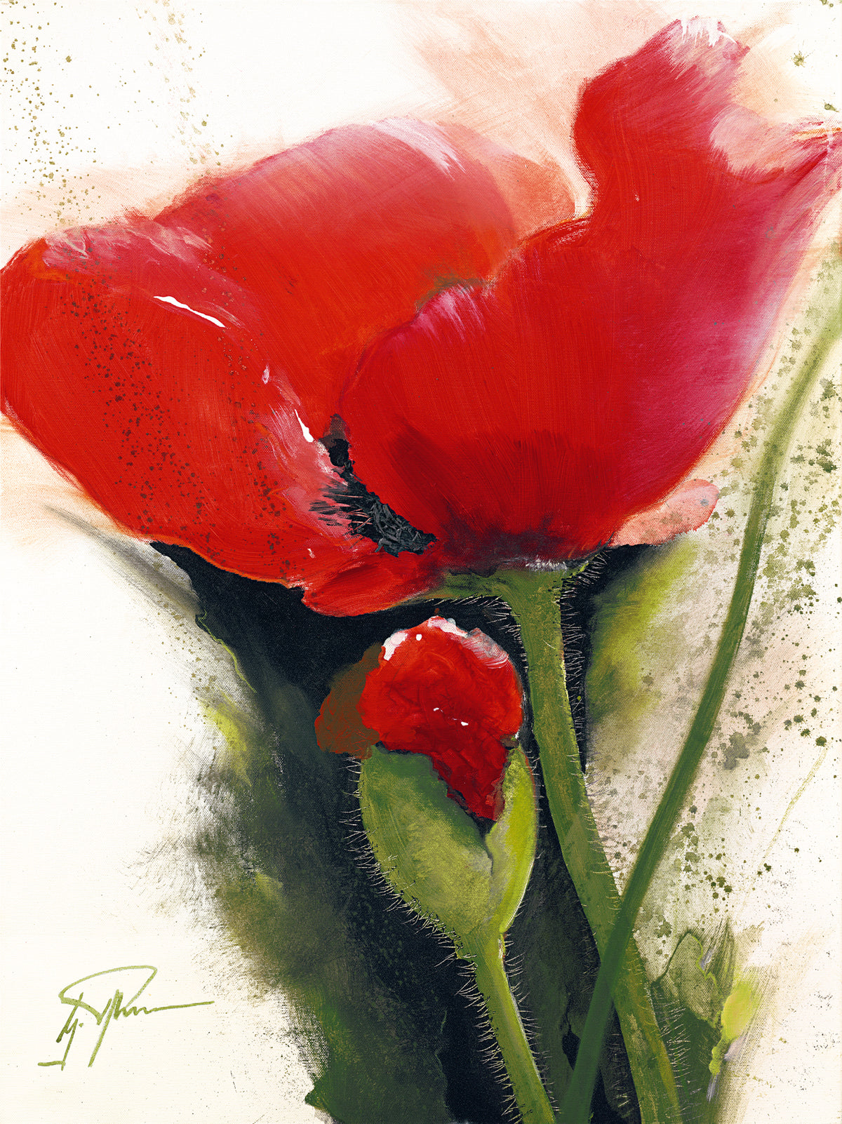 discount-faszination-mohn-ii-sale_0.jpg