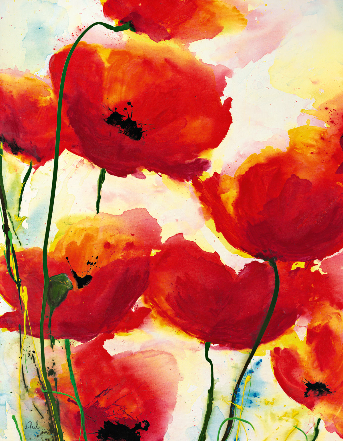 have-your-favorite-sports-teams-roter-mohn-supply_0.jpg