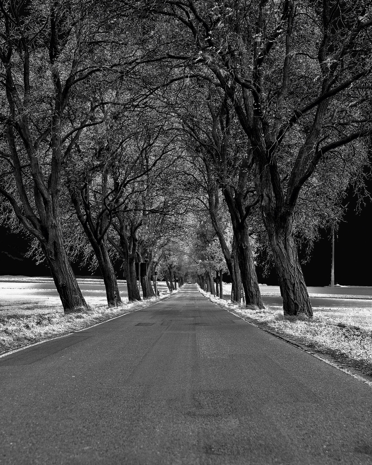 sell-and-buy-allee-online-now_0.jpg