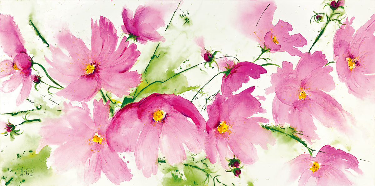 shop-our-huge-collection-of-rosa-kosmeen-online-sale_0.jpg