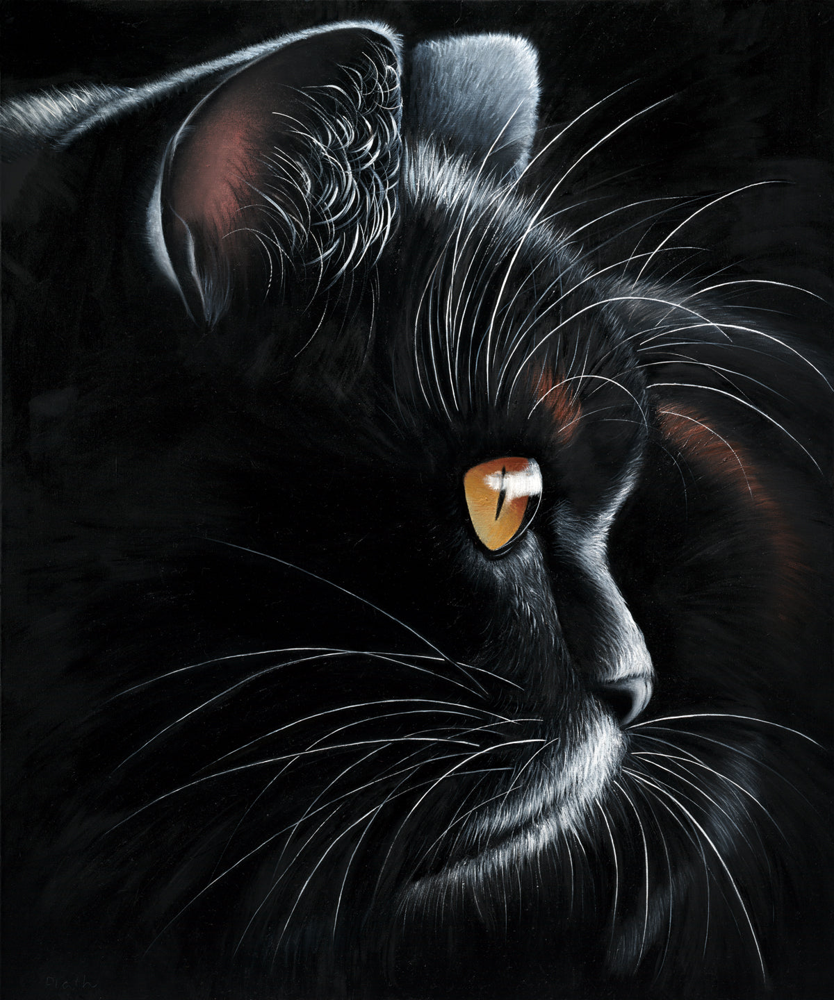 get-black-tiger-sale_0.jpg