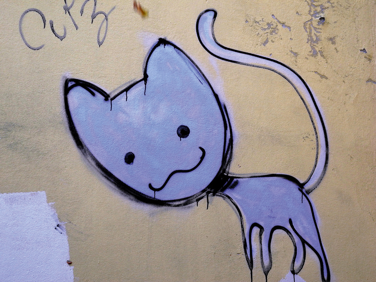 buy-cheap-wholesale-katze-1-on-sale_0.jpg