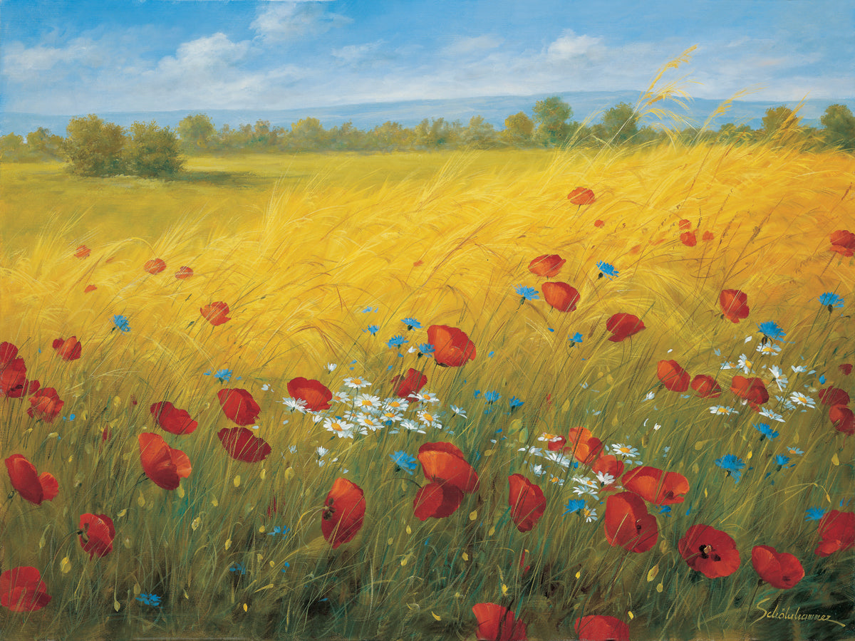 buy-the-latest-sparkling-field-i-supply_0.jpg
